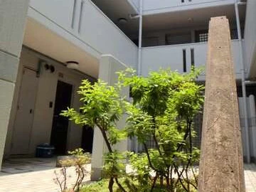 校园照片4